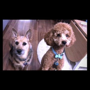 Meet your Posher, Johanna